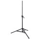 AVANT WSSX-2PAK  Pair Wind-Up Speaker Stands