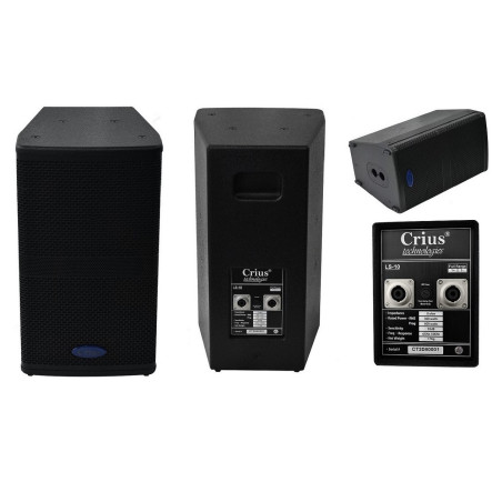 Crius Tech LS-10 - 10" + Horn, Passive Speaker