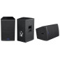 Crius Tech LS-15 - 15" + Horn, Passive Speaker