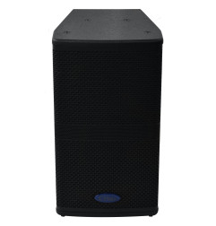 Crius Tech LS-10 - 10" + Horn, Passive Speaker