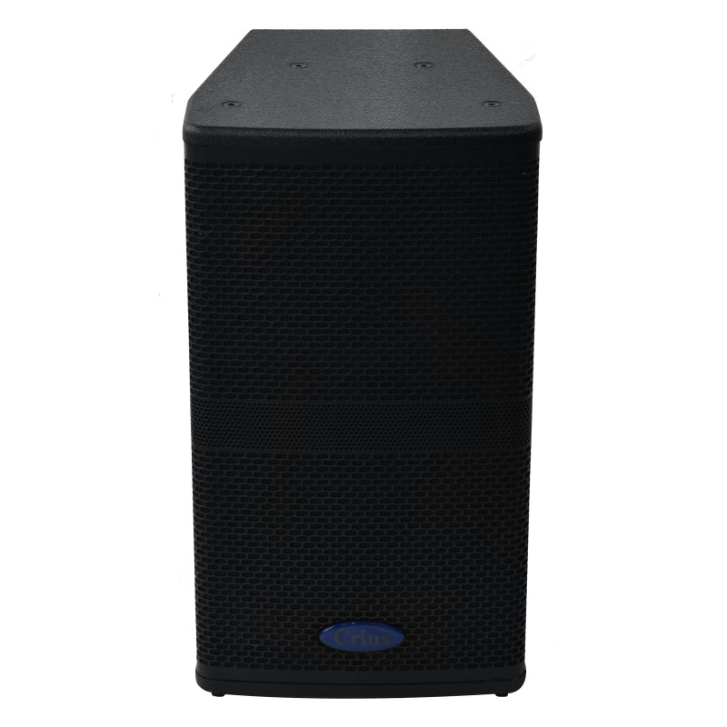 Crius Tech LS-10 - 10" + Horn, Passive Speaker Crius Tech LS-10 - 10" + Horn, Passive Speaker