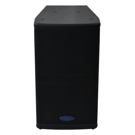 Crius Tech LS-10 - 10" + Horn, Passive Speaker