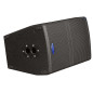 Crius Tech LS-12 - 12" + Horn, Passive Speaker