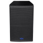 Crius Tech LS-15 - 15" + Horn, Passive Speaker