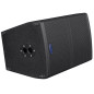 Crius Tech LS-15 - 15" + Horn, Passive Speaker