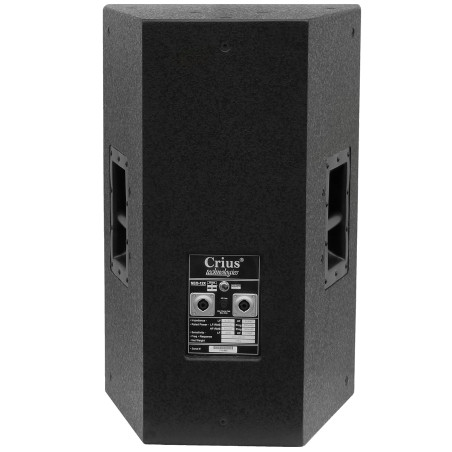 Crius Tech NEO-12X - 12" + Horn, Full-Range/Bi-Amp, Passive Spea