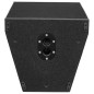 Crius Tech NEO-12X - 12" + Horn, Full-Range/Bi-Amp, Passive Spea
