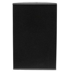 Crius Tech NEO-12X - 12" + Horn, Full-Range/Bi-Amp, Passive Spea