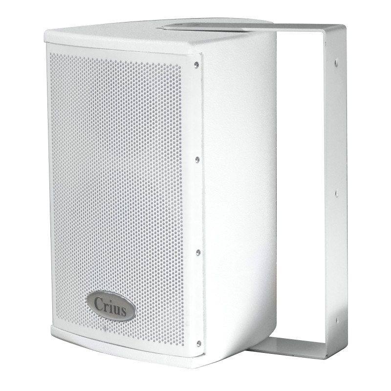 Crius Technologies CI06W 6" + Dome Tweeter Installation Speaker